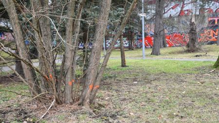 Lochotínský park čeká třetí etapa revitalizace